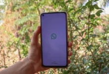 Na palma da mão: como consultar o Bolsa Família utilizando o WhatsApp, o mensageiro mais famoso e utilizado de todos.