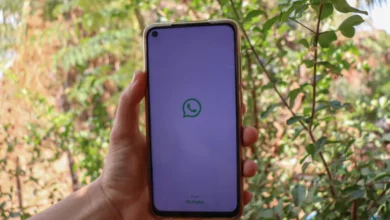 Na palma da mão: como consultar o Bolsa Família utilizando o WhatsApp, o mensageiro mais famoso e utilizado de todos.