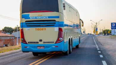 Quem tem Bolsa Família pode viajar DE GRAÇA? Descubra aqui