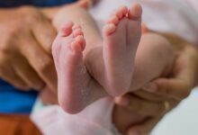 Bolsa Família: saiba agora como pegar FRALDAS GRÁTIS na sua cidade