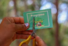 ALERTA VERMELHO para NIS 3, 6, 1, 2, 4, 7 e mais! Bolsa Família de milhares de brasileiros pode ser CANCELADO a qualquer momento: entenda