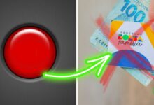 Cuidado para não apertar o botão que cancela o Bolsa Família e que fica escondido dentro do app CadÚnico, no celular.