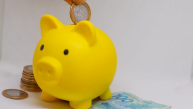 Bolsa Família 2024 ganha reforço essencial para fortalecer famílias monoparentais. Mulheres receberam bônus especial do governo.