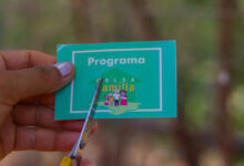 Governo publica lista de excluídos e reforça Importância da atualização regular dos dados registrados em cada um dos CRAS.