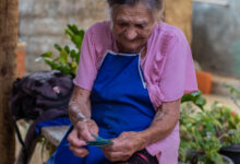 Será que a sua cidade está na lista do governo para aderir ao novo programa social que pode impactar profundamente a vida de muitas pessoas? Descubra agora mesmo.