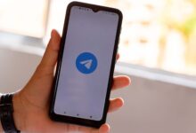 Dá para consultar o Bolsa Família pelo Telegram? Veja o que diz o MDS