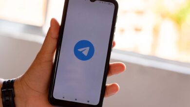 Dá para consultar o Bolsa Família pelo Telegram? Veja o que diz o MDS