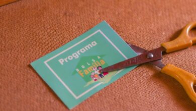 Alerta URGENTE para NIS 1, 4, 8, 9, 2 e outros! Seu Bolsa Família será CORTADO após assinatura da carteira: mentira ou verdade?