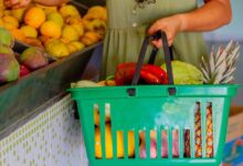 Com que frequência você pode solicitar uma CESTA BÁSICA gratuita no CRAS?