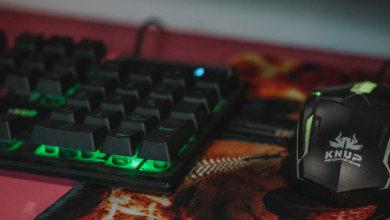 Garanta sua qualificação governo oferece DIVERSOS cursos GRATUITOS e online! Veja como participar!