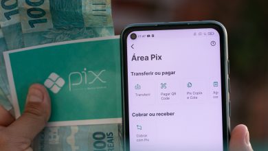 Precisando de um PIX a mais em junho? O Governo pode dar esse presente a você se estiver na lista de pagamentos do mês.