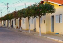 Bolsa Família: veja o guia completo para pegar a escritura/termo de quitação do Minha Casa Minha Vida