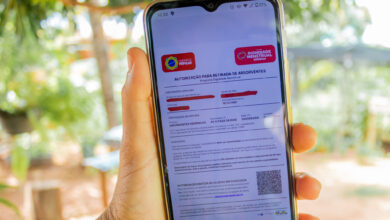 Você sabia que dá para conseguir remédios de graça na Farmácia Popular, especialmente para pessoas que estão no Bolsa Família? Veja a lista.