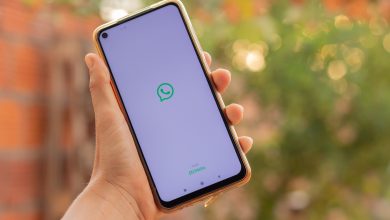 WhatsApp pode ajudar você a saber quanto será pago no Bolsa Família do mês, se souber com quem falar pelo aplicativo.