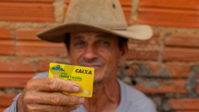 Câmara aprova manutenção do Bolsa Família para trabalhadores safristas; veja os detalhes.