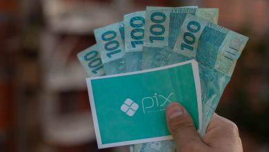 Confira quais brasileiros podem comemorar o PIX unificado do governo no Bolsa Família, apesar de situações extremas.