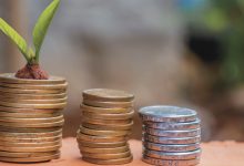 Retorno dos empréstimos para beneficiários do Cadúnico visa fomentar pequenos negócios e desenvolvimento sustentável.