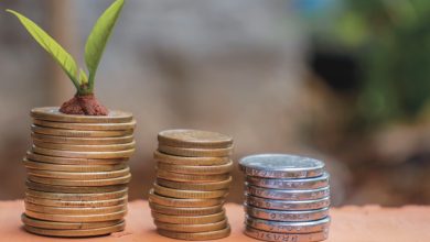 Retorno dos empréstimos para beneficiários do Cadúnico visa fomentar pequenos negócios e desenvolvimento sustentável.