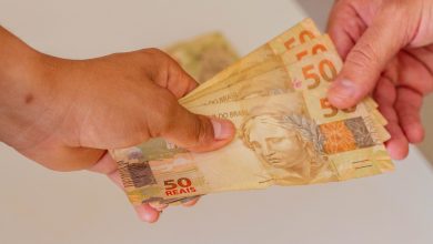 3º lote da restituição do importo pela Receita Federal está disponível para consulta aos brasileiros que trabalharam e contribuíram.