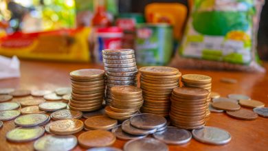 Descubra quem pode, de verdade, receber o cartão para cesta básica e alimentação no Bolsa Família ainda este ano.