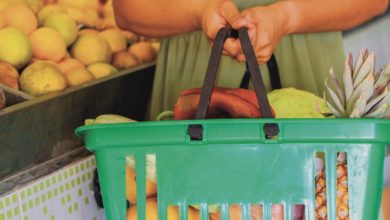 Ganhe R$ 200 do auxílio Cesta Básica e encha sua despensa hoje mesmo; saiba como se inscrever e garantir seu benefício!