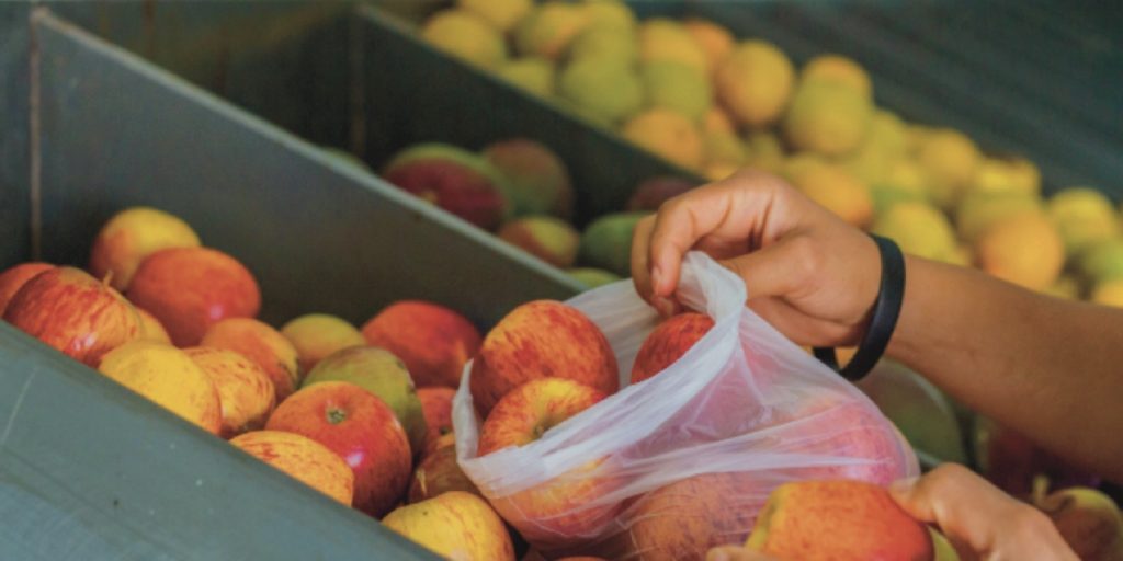 A implementação de novo cartão alimentação para beneficiários do Bolsa Família gera expectativas e esclarecimentos sobre o programa.