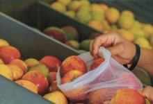 A implementação de novo cartão alimentação para beneficiários do Bolsa Família gera expectativas e esclarecimentos sobre o programa.