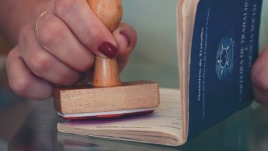 O mercado de trabalho brasileiro mostra forte recuperação com a criação de mais de 200 mil vagas formais em junho de 2024.