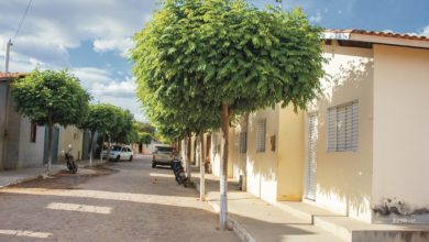 A Caixa Econômica Federal realiza leilão online com imóveis a preços reduzidos e isenção total de prestações para beneficiários do Bolsa Família.