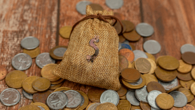 Beneficiários do Bolsa Família podem ter POUPANÇA Descubra a VERDADE