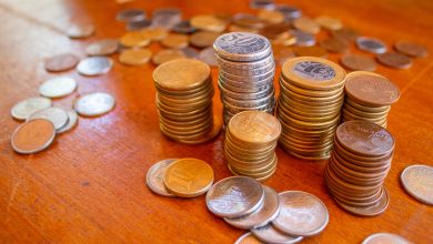 Existe chance de receber mais do que o valor base do Bolsa Família, ou seja, há maneiras de conseguir benefícios extras em agosto.