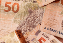 Bolsa Família ainda dá tempo de solicitar o auxílio de R$ 5.100 em agosto Confira