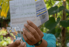 Bolsa Família seu desconto na conta de luz já está liberado Confira