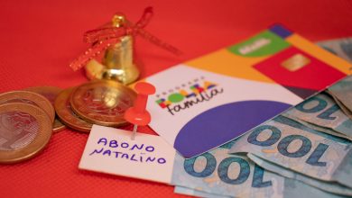 Chegou a hora de garantir um final de ano um pouco mais tranquilo com o abono natalino garantido do Bolsa Família veja as regras.