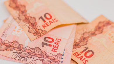 Está sem emprego e precisa de uma renda para segurar as pontas? Confira a Bolsa que promete pagar um bom valor.