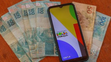 6 benefícios para famílias de baixa renda, além do Bolsa Família