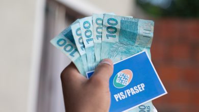 Veja os grupos que poderão sacar o PIS e as datas de pagamento do benefício - bolsadafamilia.com.br