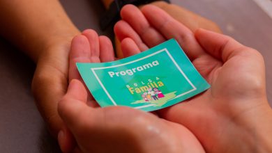 Bolsa Família pode garantir sustento para mães que estão cadastradas em determinada região do Brasil; entenda quais são as principais regras sobre isso.