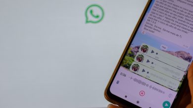 WhatsApp pode servir como um tipo de aplicativo de banco, já que mostra valores disponíveis no seu Caixa Tem hoje mesmo.