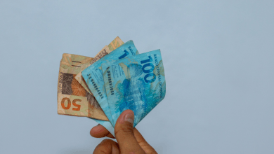 Como funciona a renda per capita do Bolsa Família Entenda