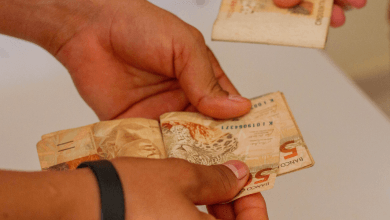 Quer ganhar + R$ 300 por mês Saiba como garantir o benefício extra do Bolsa Família