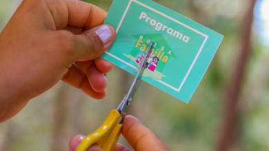 Seu nome pode estar nos cortes do Bolsa Família – aprenda a consultar e evite surpresas