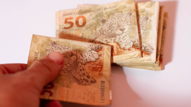 Além do Bolsa Família e adicionais veja como receber 10 parcelas de até R$ 225