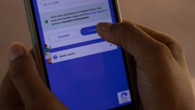 Precisa falar com alguém do governo sobre o Bolsa Família e quer fazer isso utilizando os eu WhatsApp? Então chegou a hora de descobrir quais são os canais oficiais para esse tipo de contato.