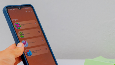 CPF cadastrado em plataforma de jogos cancela o Bolsa Família Descubra agora