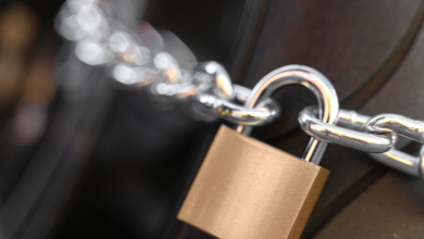 Seguro-Defeso vai mesmo bloquear seu Bolsa Família Conheça as regras