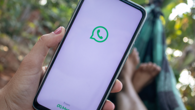Veja como falar com o Bolsa Família pelo WhatsApp atendimento digital fácil e rápido