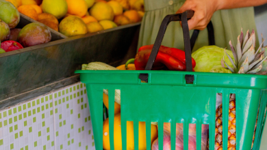 Bolsa Família garanta seus R$250 mensais e melhore sua alimentação ainda em 2024