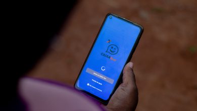 Caixa Tem é o app que muitos brasileiros usam para receber a maior parte da renda pelos pagamentos do governo; veja o que já foi agendado.