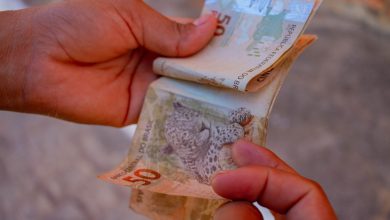 Quem tem conta no Caixa Tem pode ter acesso a um novo valor bem interessante para complementar a renda no mês; veja como funciona.